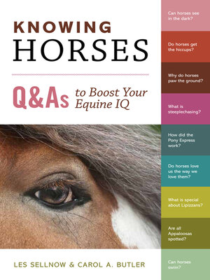 cover image of Knowing Horses